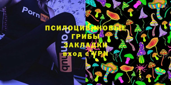 кокс Аркадак